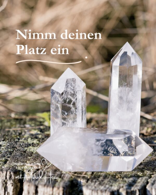 1:1 Begleitung