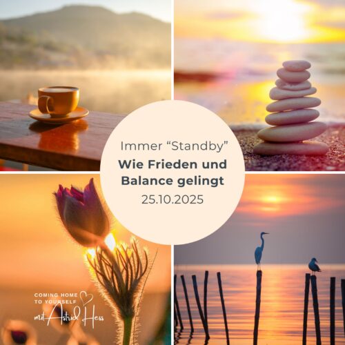 website angebote(50) ANGEBOTE